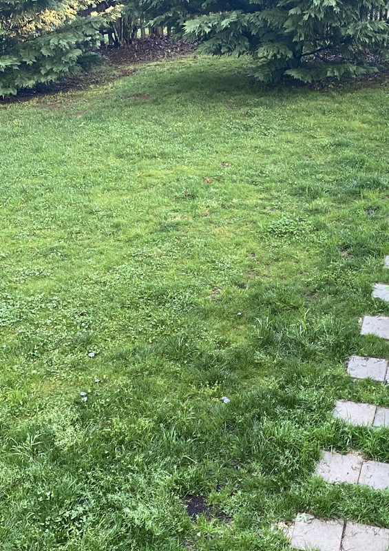 6F5A916C-0516-4B84-9BEE-627352AE0F2C