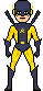 Yellow_Jacket_1