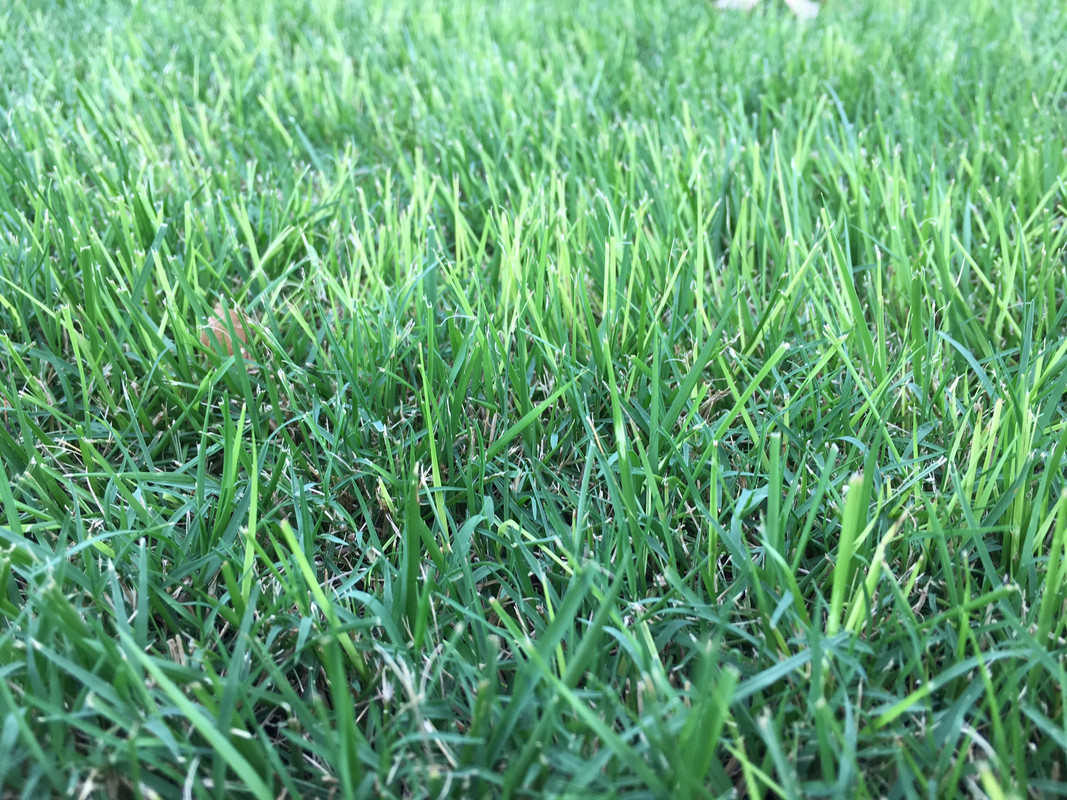 5AA29C5D-8982-4A41-A200-D3139D95C6DB