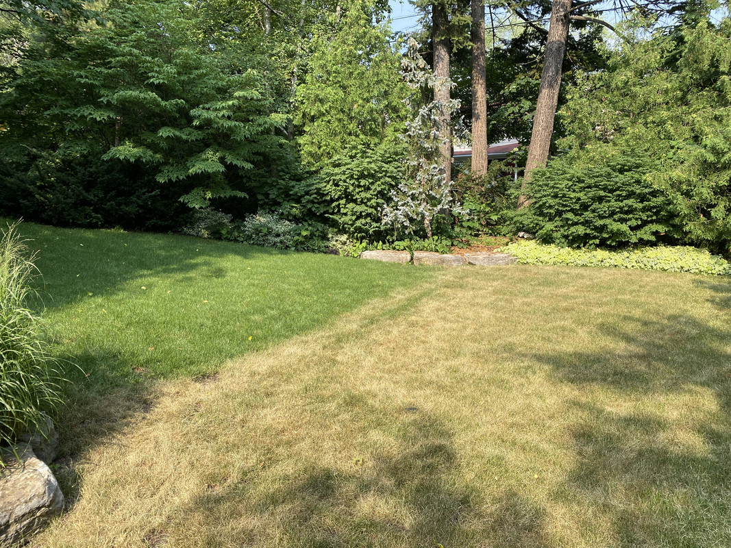 65504629-23DC-4C1F-874A-F57A7954D515