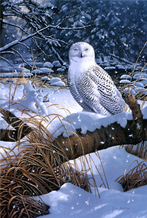 Winter-Snow-Owl