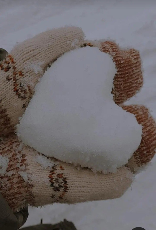 Screenshot_20240211_232913_Pinterest