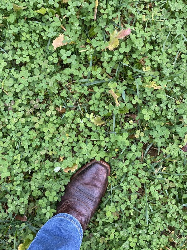 7F756634-F609-44F5-8B5E-6D66AF85F8DA