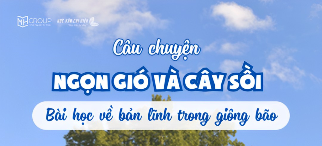 Ảnh bìa