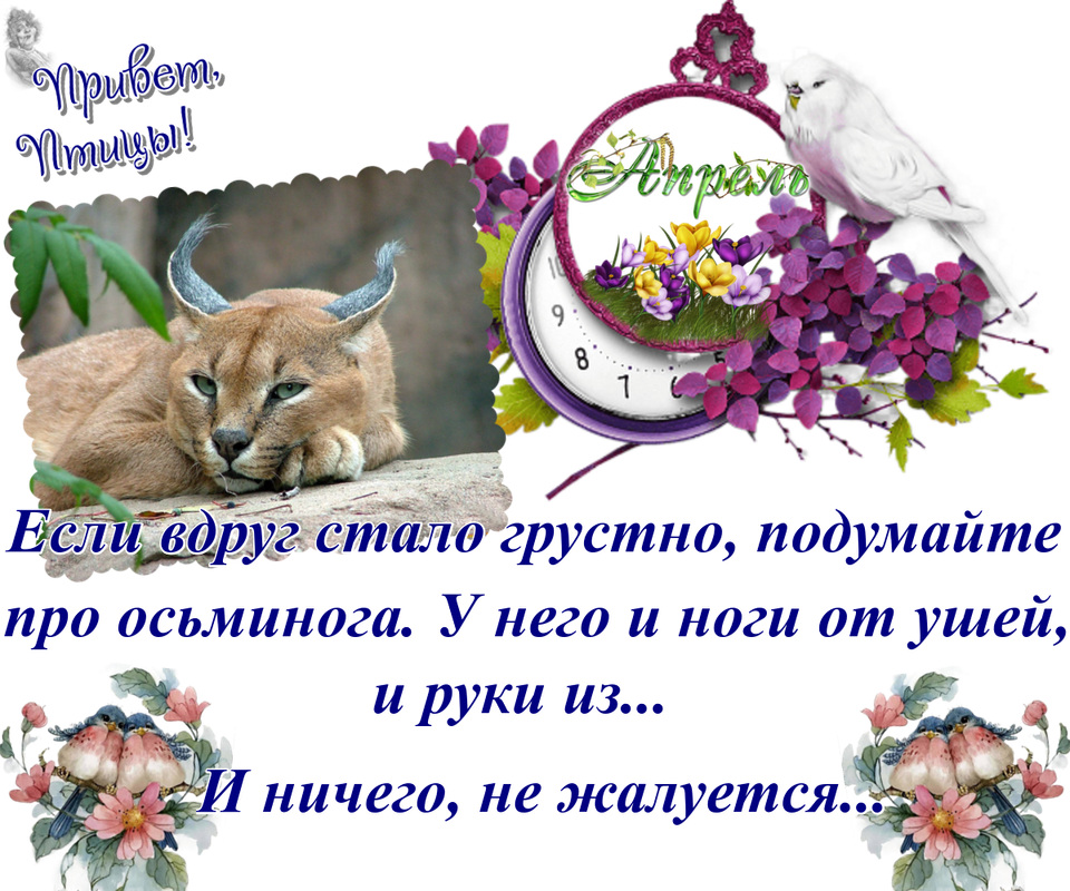 https://i.postimg.cc/QNqMjKQs/22-04.png