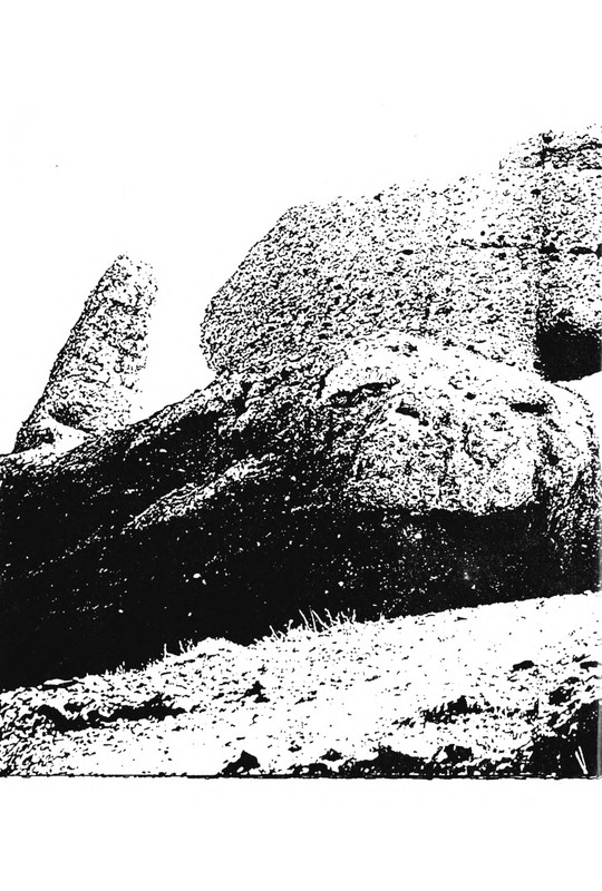 p0009