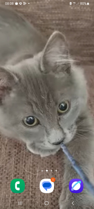 Screenshot 20251003 080820 One UI Home