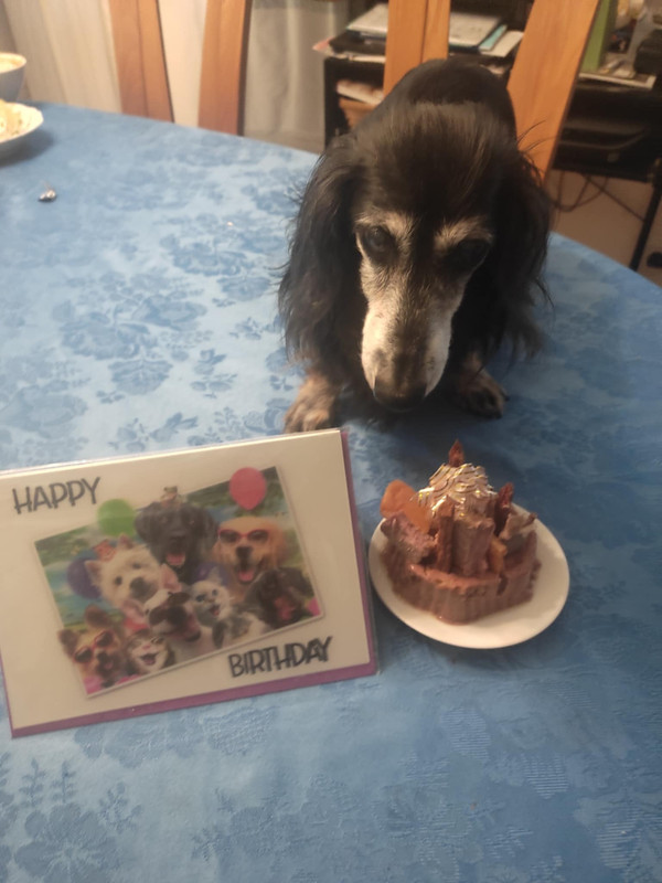 [Image: Messenger-creation-3-AB2-C3-A9-D082-4-BB...9-DDD1.jpg]