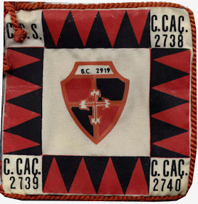 BCac2919
