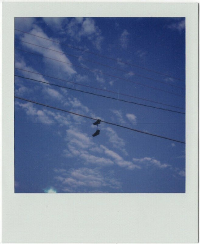 sfr-l1600