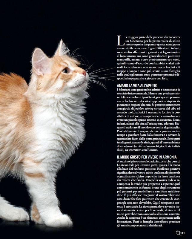 QuattroZampe Dic 2023-Gen 2024 (10)