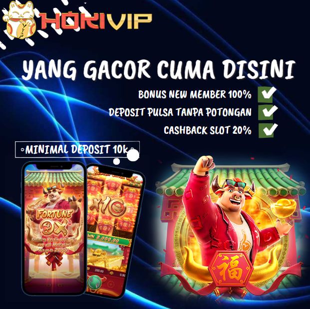 hokivip