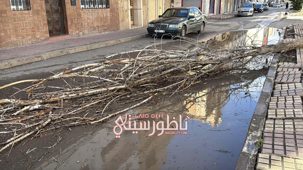 591480024-820672790887049-1569521170403965002-n