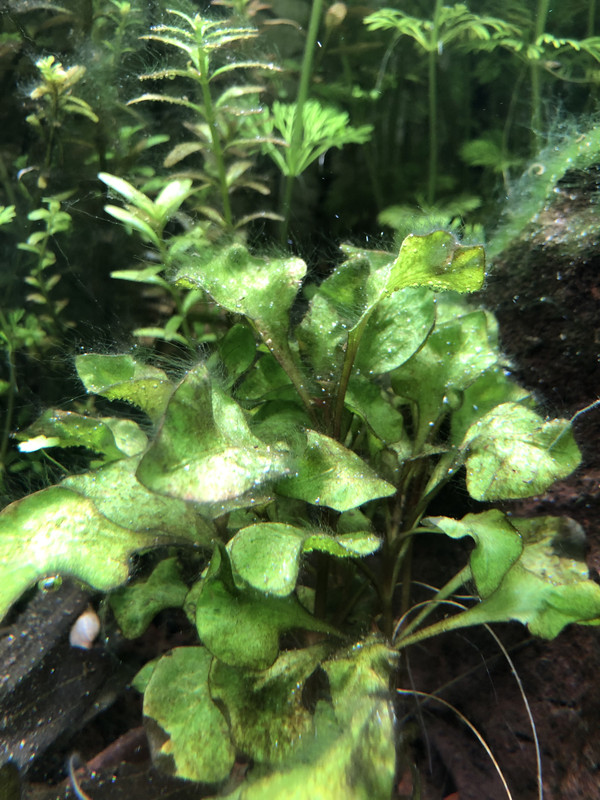 C477747A-D861-47EE-9969-34E99D52AA7C