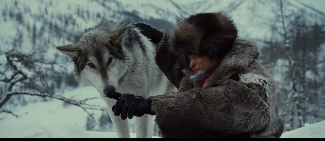 [HR] Loup (2009) [BluRay 1080p x265]_06