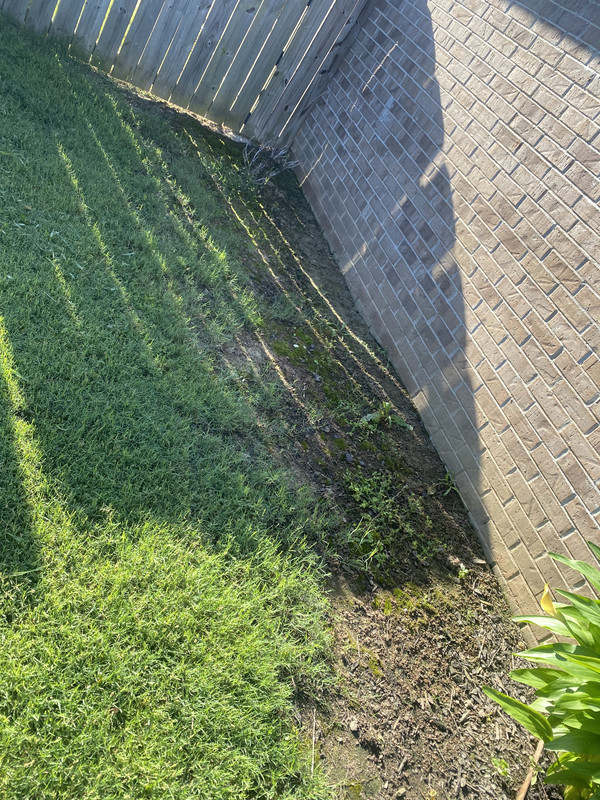 8325DE89-88B7-4B53-BA19-2D468B5050D2