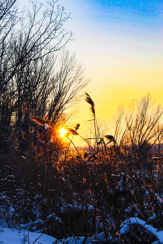 613190162-1996687117943454-4248785285381