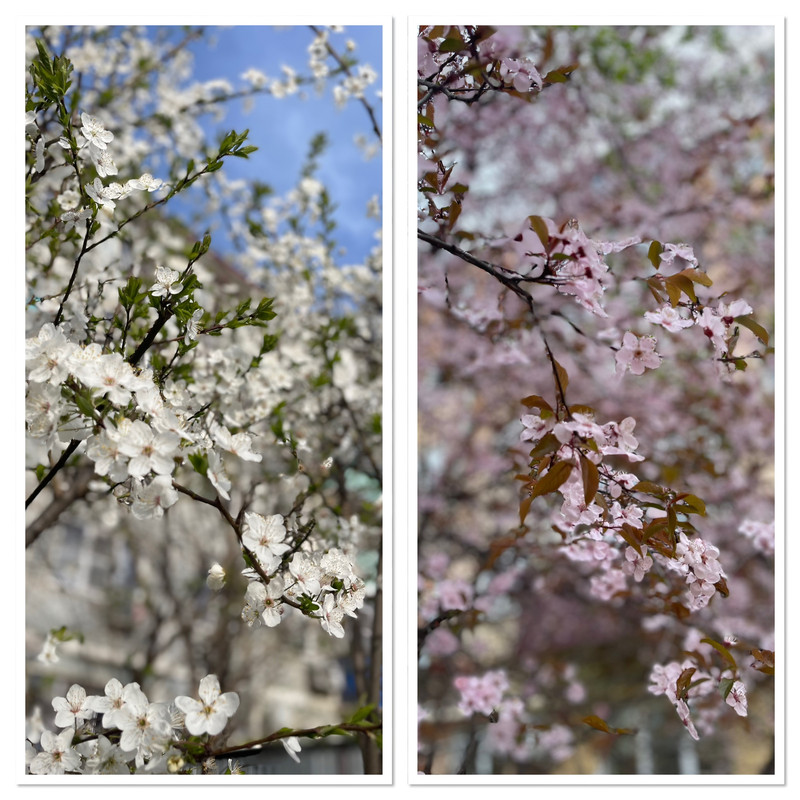 518B9B70-FCD7-40C0-B696-D80BB960676F