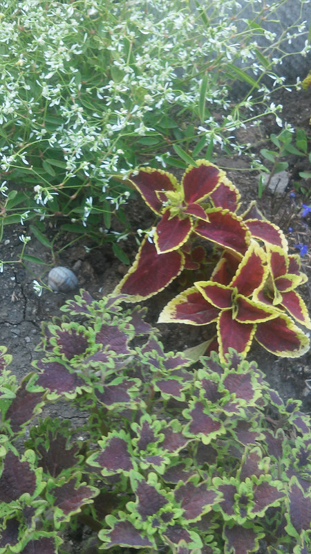 20200716_174122