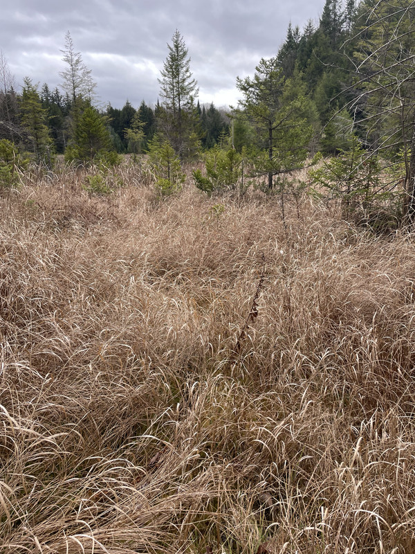 F1E4C907-8300-4E9C-B9ED-FA7EDFDEABE7