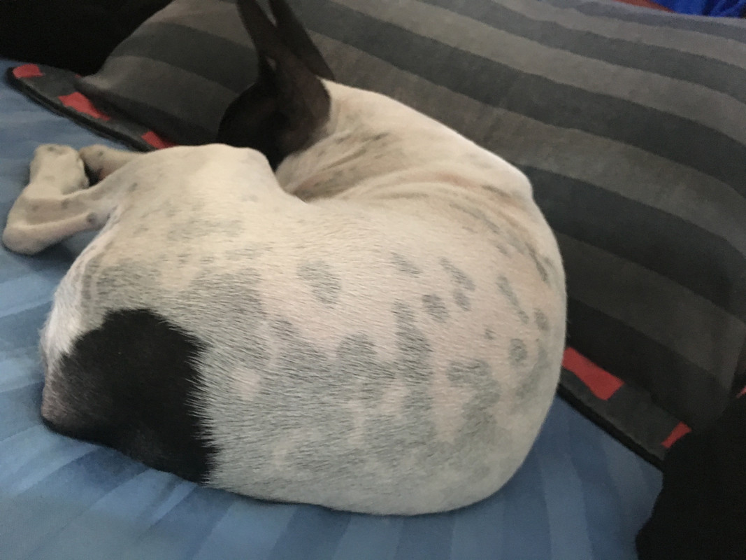 C721BE52-6EAF-4355-B1F5-74B8B48DB315