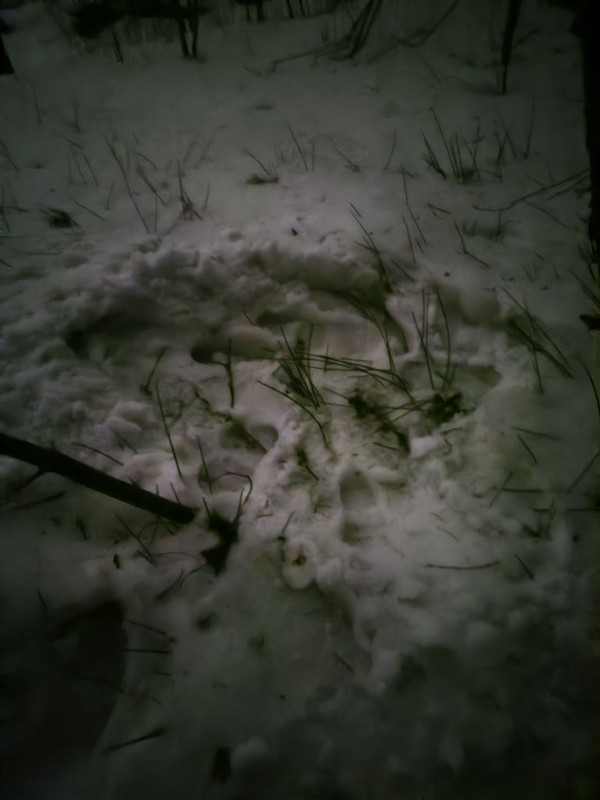 1000013658_20250322075655