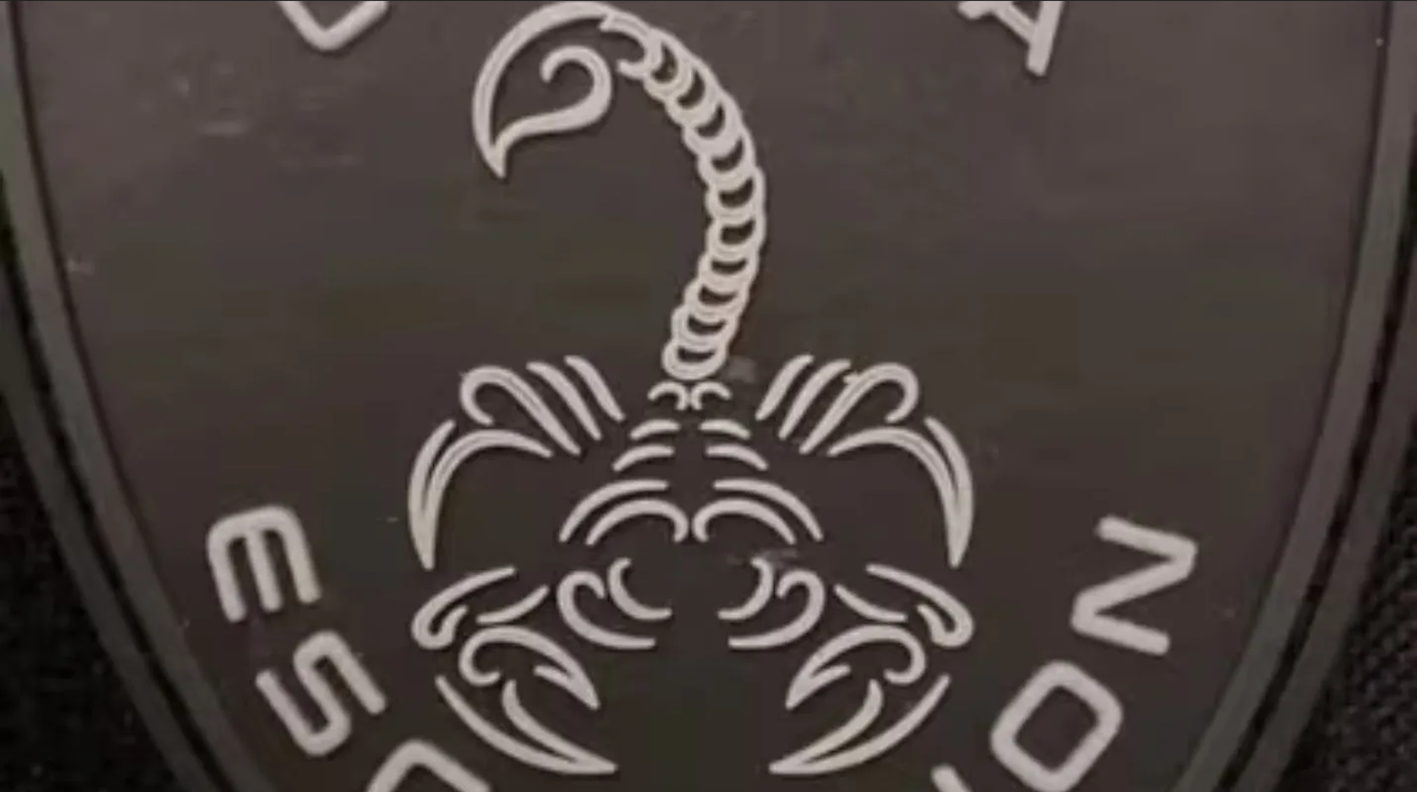 Ellos son el Grupo Escorpión, enfrentarían al CJNG en Guanajuato