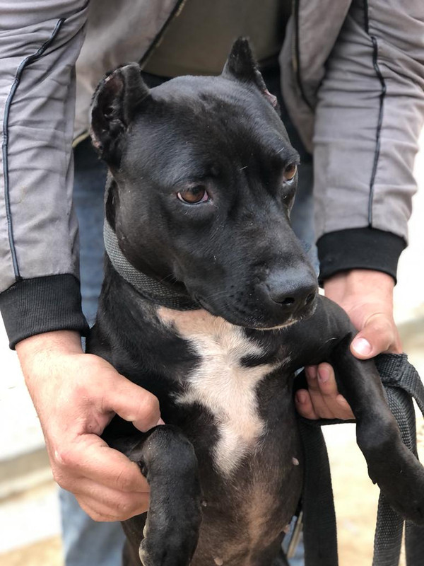 CD2C09D0-6A20-42B0-BF1B-23AA7E0F0C42