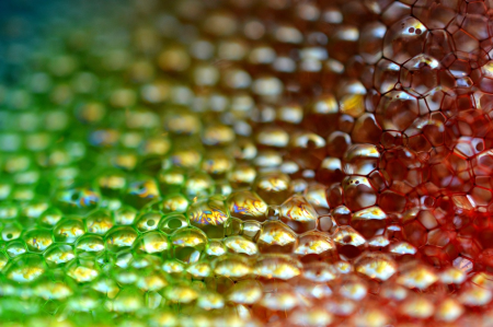 Get Creative with Photographic Textures