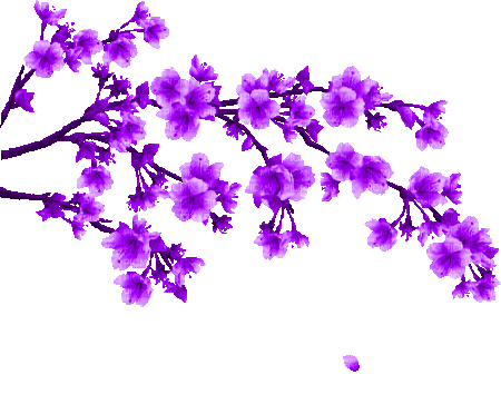 74170192014e1d99c45506c8c360de5a5b23e9a3r1-400-331-hq
