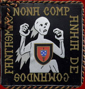 9-CCmds-br