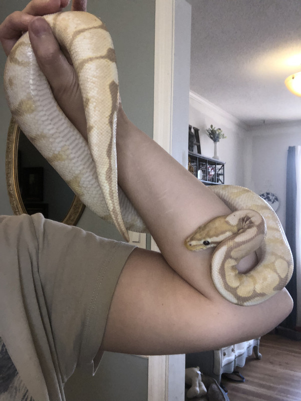 9155D014-197E-4D79-BEBF-DA9A1CE152C3