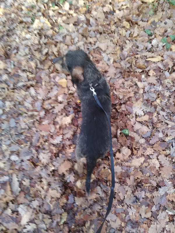 [Image: IMG-20230115-145349.jpg]