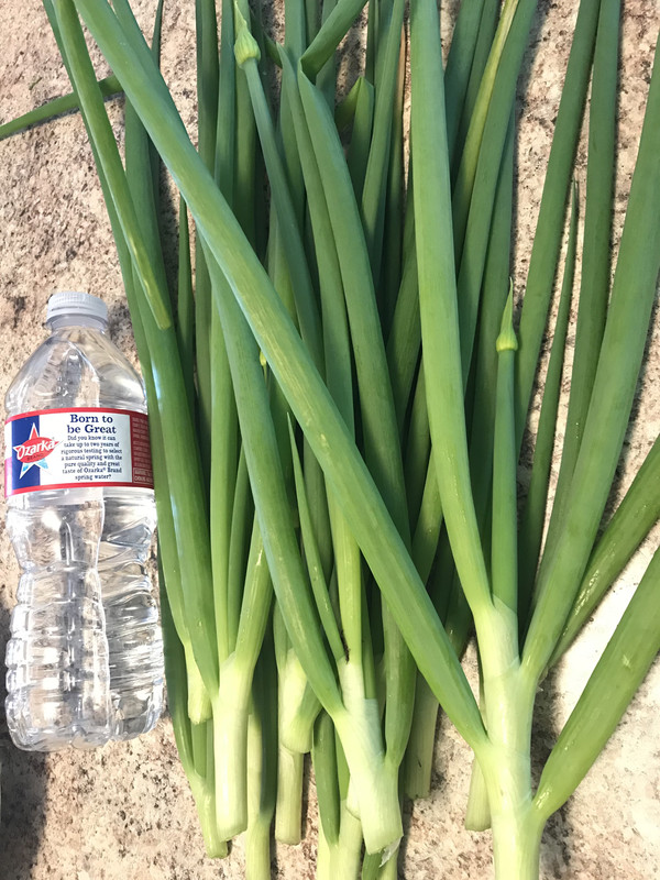 F3A5470F-6B34-402D-8644-7EE71BC680E6