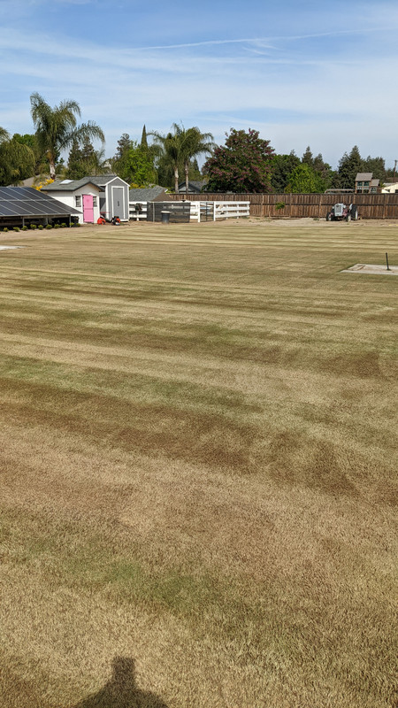 PXL_20220402_222940482