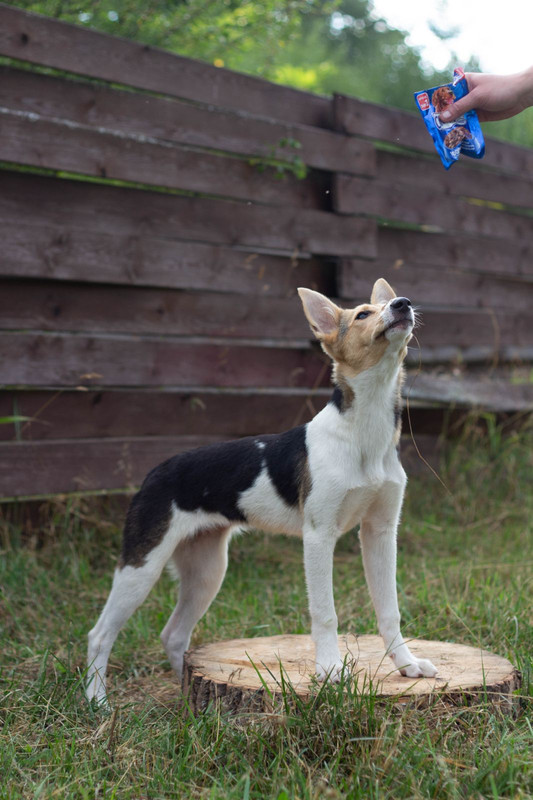 IMG-074370aced59ddbd638e1addb031d645-V