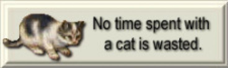 No time spent with a cat is wasted.
