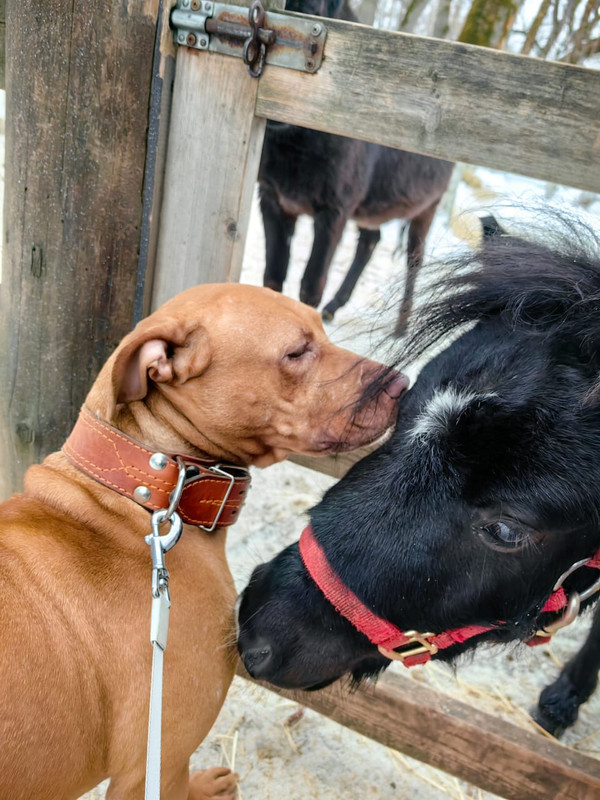 DCD9DBAA-31BA-49DF-9773-9977E6DCCA70