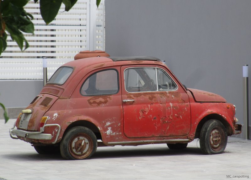 IMG-7290.jpg