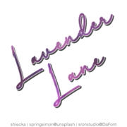 Lavender - Text Avi
