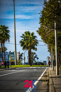 IMG-4954