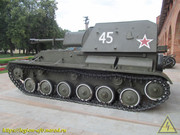 IMG-9884