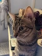 PXL_20210103_093458414.PORTRAIT