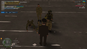 UKRAINE-GTA-18-05-2026-17-54-17
