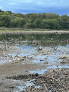 [Image: IMG-4237.jpg]