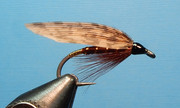 American-March-Brown-Bergman-1080