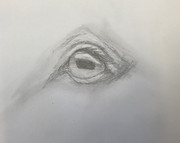 39933015-B4F7-4565-BDEA-DE0D5DB8676A