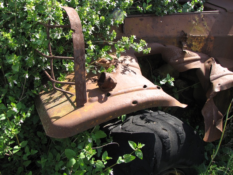 btr-2.jpg