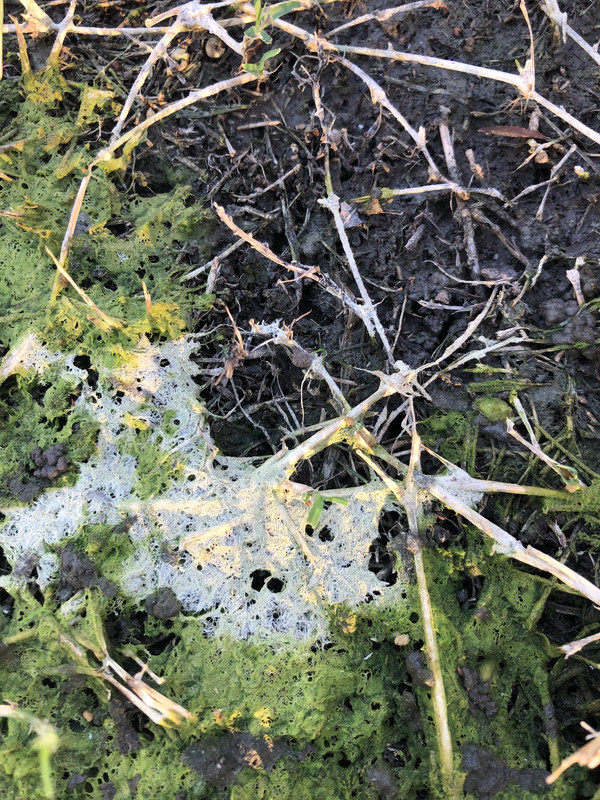 AADCB41D-1839-41BB-BB64-10D7A2E3598D