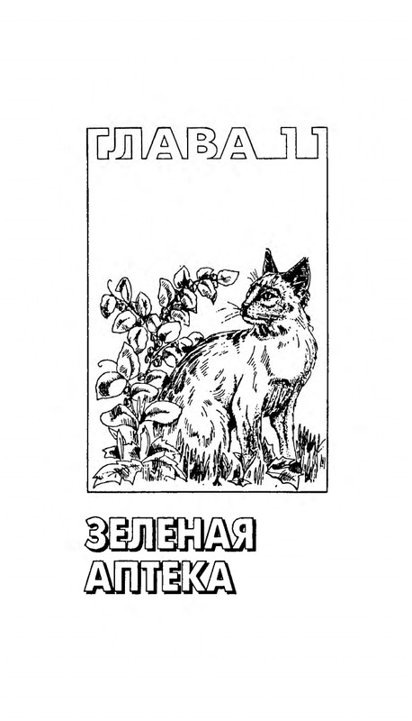 Николай Непомнящий - 200 кошачьих почему - 1995_page-0338